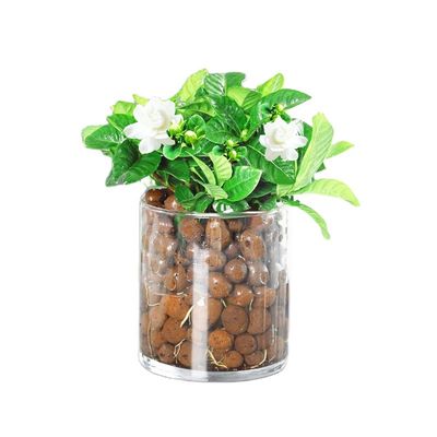 가벼운 갈색 공 정원 확장 세람사이트 정원 LECA 점토 펠릿 50L 가방