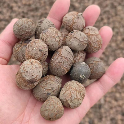 수식 가벼운 가꾸기 세람사이트 LECA 점토 공 대량 밀도 250~450kg/m3